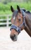 Shires Fleece Lined Lunge Cavesson 